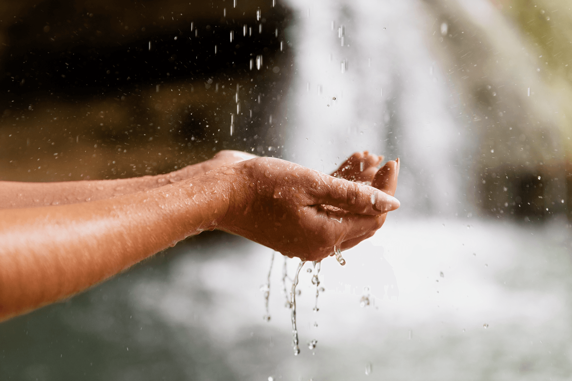 Water & Waste Stewardship